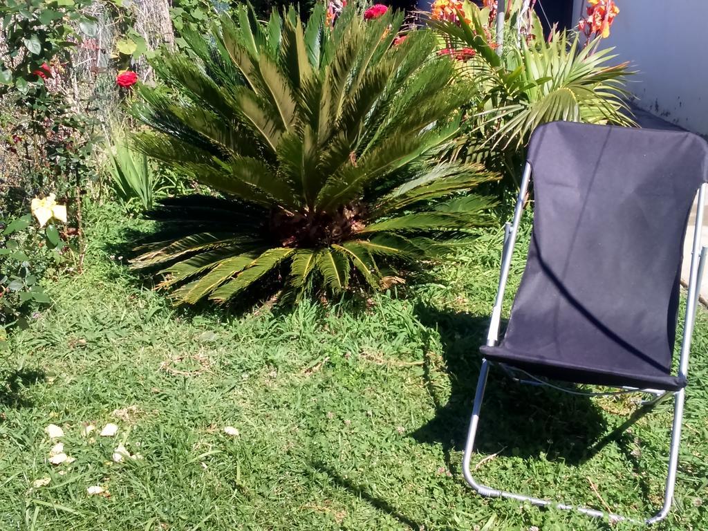 Canto Da Manu Estreito Da Calheta Bagian luar foto